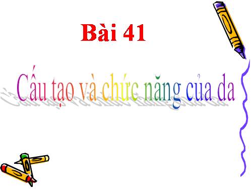 Bài 41. Cấu tạo và chức năng của da