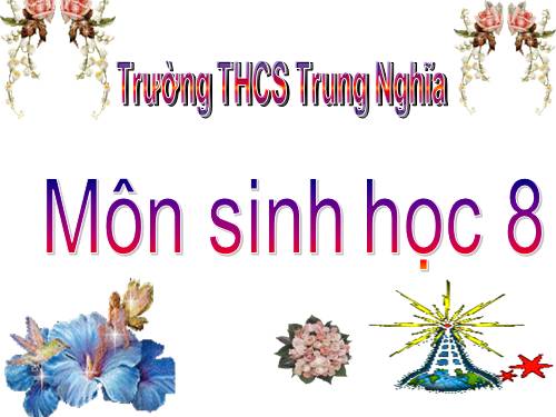 Bài 38. Bài tiết và cấu tạo hệ bài tiết nước tiểu