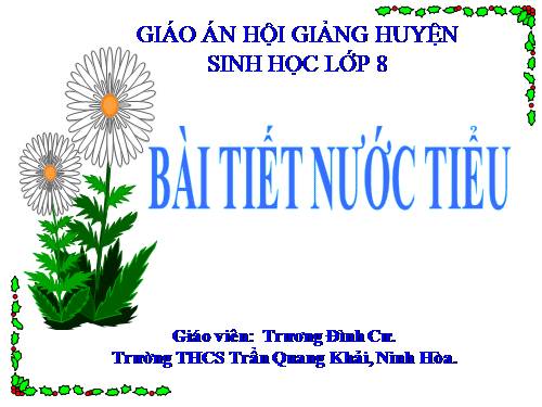 Bài 39. Bài tiết nước tiểu