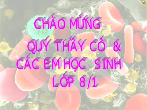 Bài 20. Hô hấp và các cơ quan hô hấp