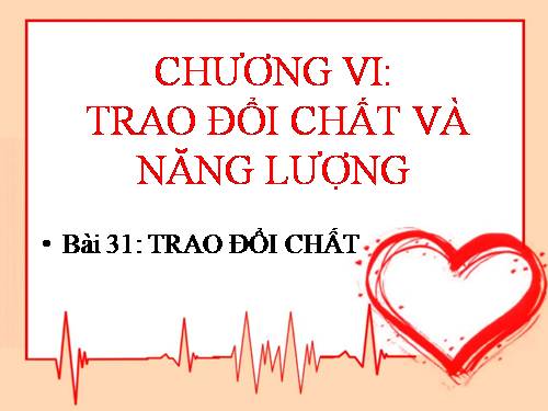 Bài 31. Trao đổi chất