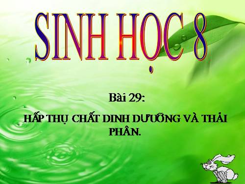 Bài 29. Hấp thụ chất dinh dưỡng và thải phân