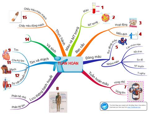 Bài 35. Ôn tập học kì I