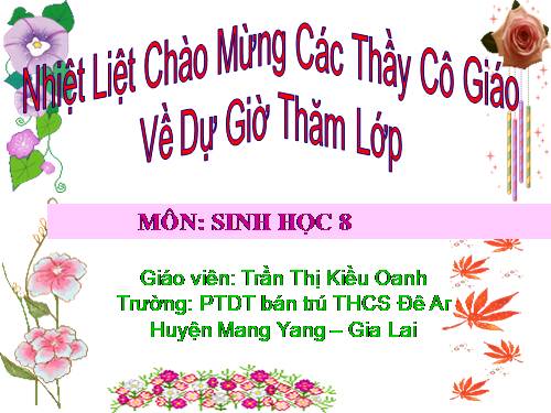 Bài 28. Tiêu hóa ở ruột non