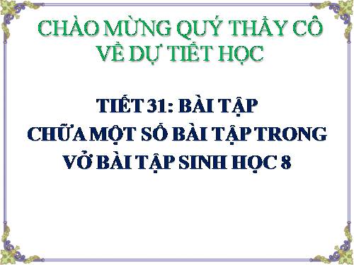 Chữa bài tập trong vở bài tập