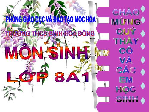 Bài 29. Hấp thụ chất dinh dưỡng và thải phân