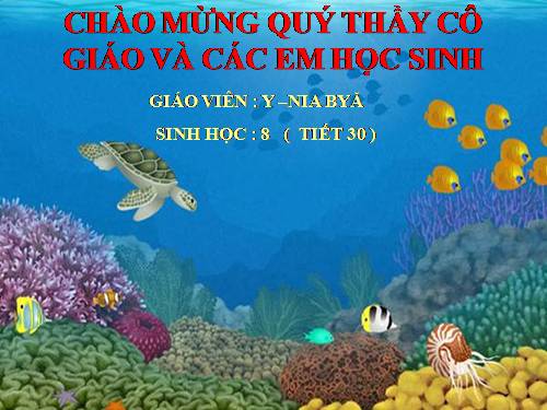 Bài 29. Hấp thụ chất dinh dưỡng và thải phân