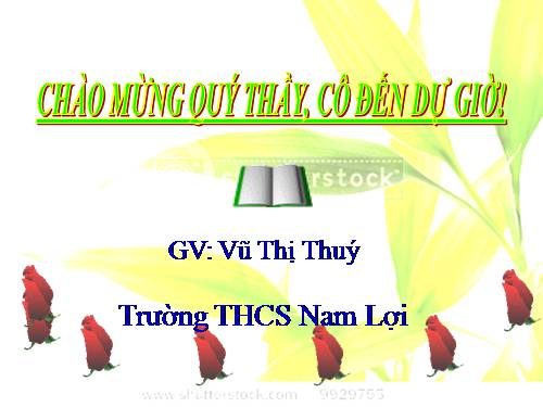 Bài 46. Trụ não. Tiểu não. Não trung gian