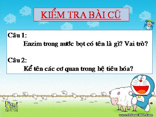 Bài 27. Tiêu hóa ở dạ dày