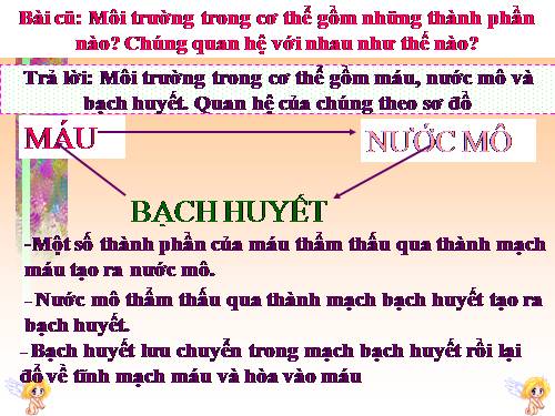 Bài 16. Tuần hoàn máu và lưu thông bạch huyết