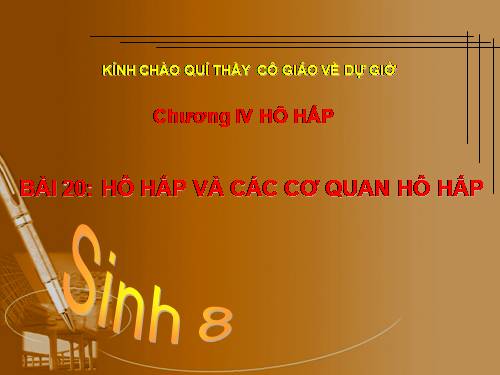 Bài 20. Hô hấp và các cơ quan hô hấp