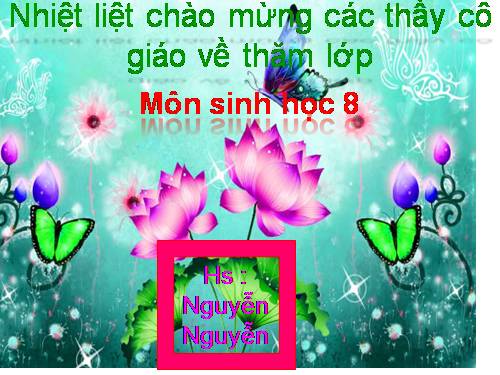 Bài 28. Tiêu hóa ở ruột non