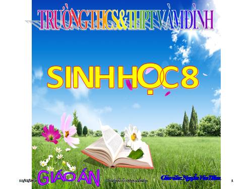 Bài 20. Hô hấp và các cơ quan hô hấp