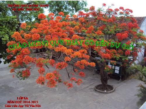 Bài 20. Hô hấp và các cơ quan hô hấp