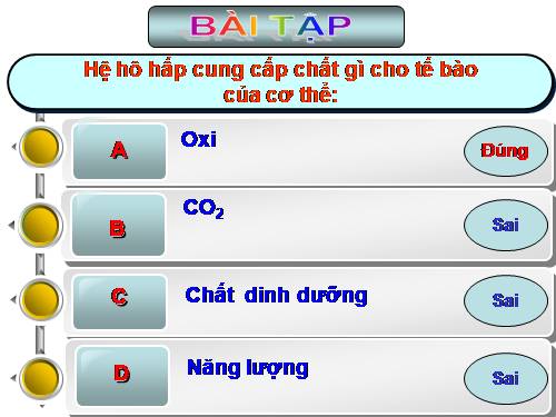 Bài 24. Tiêu hóa và các cơ quan tiêu hóa