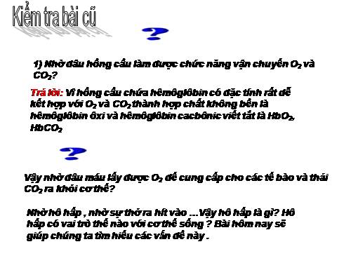 Bài 20. Hô hấp và các cơ quan hô hấp