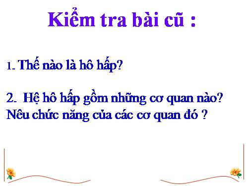 Bài 21. Hoạt động hô hấp