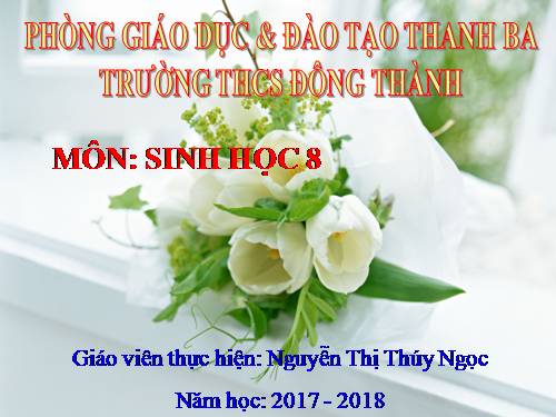 Bài 17. Tim và mạch máu