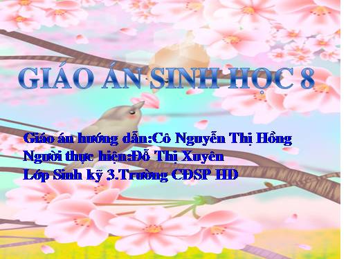 Bài 41. Cấu tạo và chức năng của da