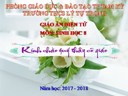 Bài 17. Tim và mạch máu