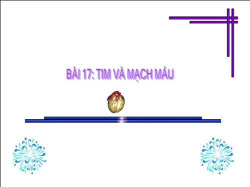 Bài 17. Tim và mạch máu