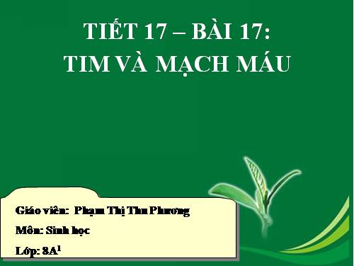 Bài 17. Tim và mạch máu