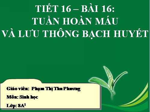 Bài 16. Tuần hoàn máu và lưu thông bạch huyết