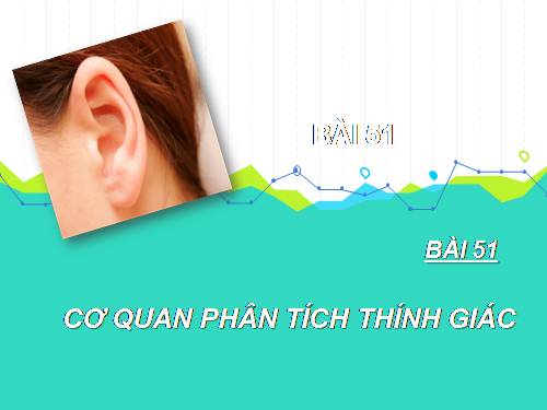 Bài 51. Cơ quan phân tích thính giác