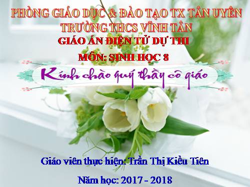 Bài 17. Tim và mạch máu