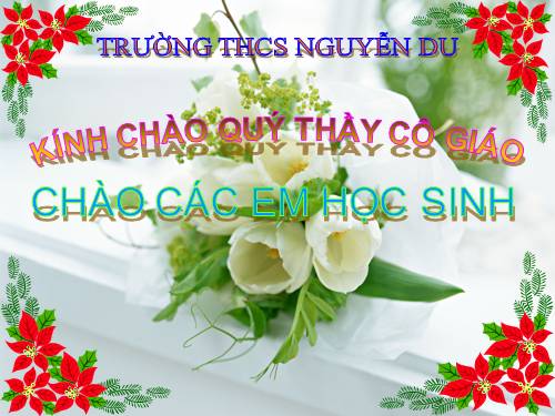 Bài 17. Tim và mạch máu