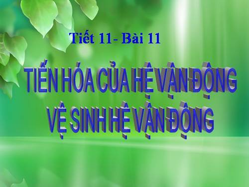 Bài 11. Tiến hóa của hệ vận động. Vệ sinh hệ vận động