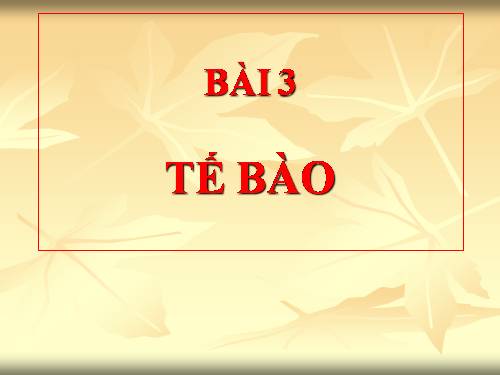 Bài 8. Cấu tạo và tính chất của xương