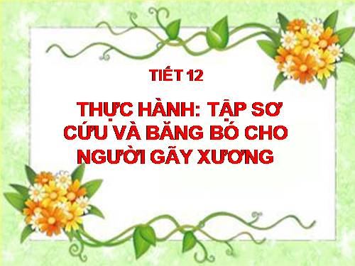 Bài 12. Thực hành: Tập sơ cứu và băng bó cho người gãy xương