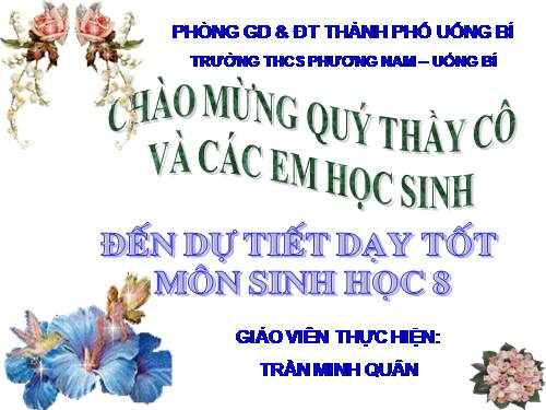 Bài 12. Thực hành: Tập sơ cứu và băng bó cho người gãy xương