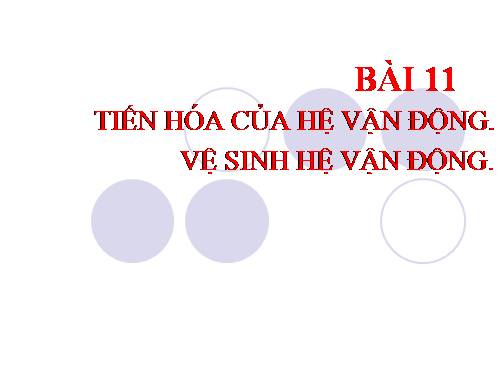 Bài 11. Tiến hóa của hệ vận động. Vệ sinh hệ vận động