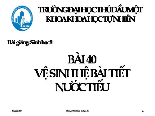 Bài 40. Vệ sinh hệ bài tiết nước tiểu