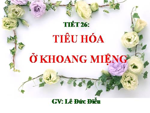 Bài 25. Tiêu hóa ở khoang miệng