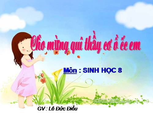 Bài 27. Tiêu hóa ở dạ dày