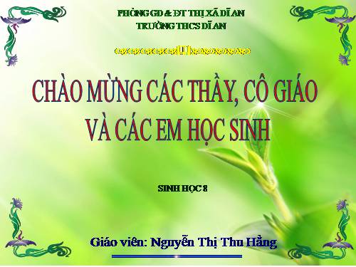 Bài 11. Tiến hóa của hệ vận động. Vệ sinh hệ vận động