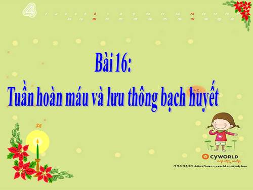 Bài 16. Tuần hoàn máu và lưu thông bạch huyết