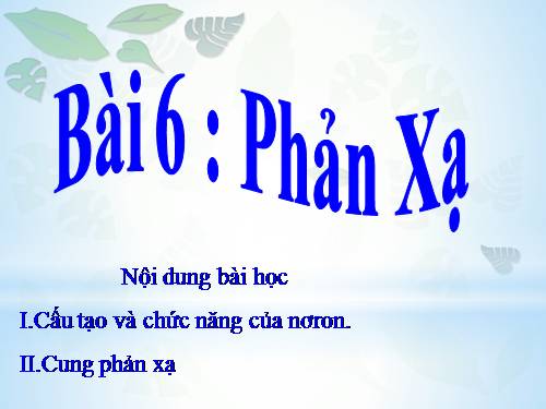 Bài 6. Phản xạ