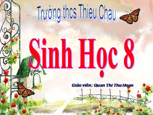 Bài 11. Tiến hóa của hệ vận động. Vệ sinh hệ vận động