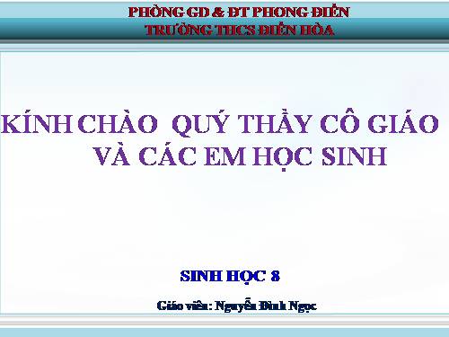 Bài 24. Tiêu hóa và các cơ quan tiêu hóa