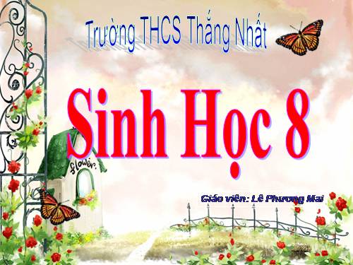 Bài 11. Tiến hóa của hệ vận động. Vệ sinh hệ vận động