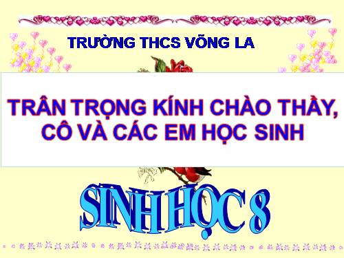 Bài 13. Máu và môi trường trong cơ thể