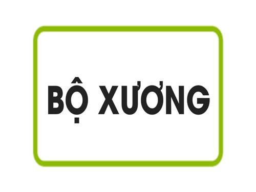 Bài 7. Bộ xương