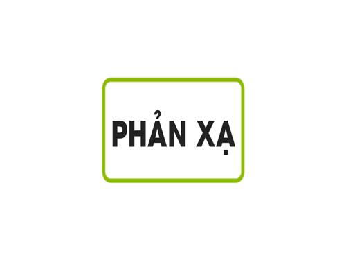 Bài 6. Phản xạ