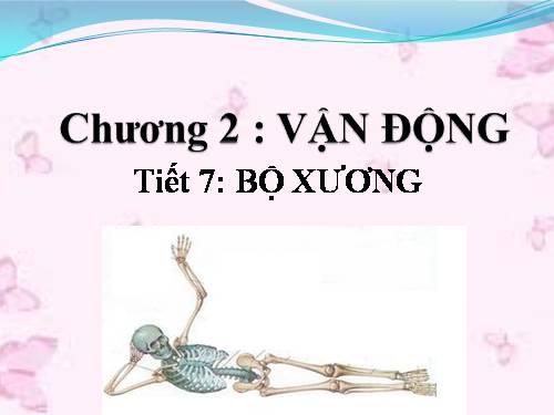 Bài 7. Bộ xương