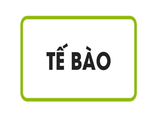 Bài 3. Tế bào