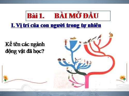 Bài 1. Bài mở đầu